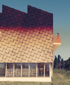 Norsk Skogsfinsk Museum